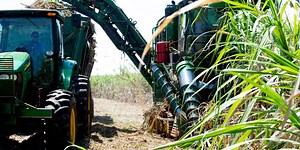 Shell Looks for a Hedge Against Climate Change | Fortune