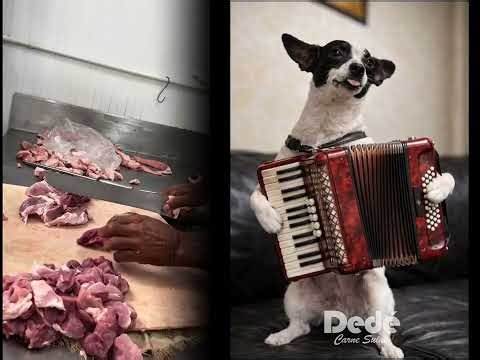 JINGLE - Dedé Carne Suina