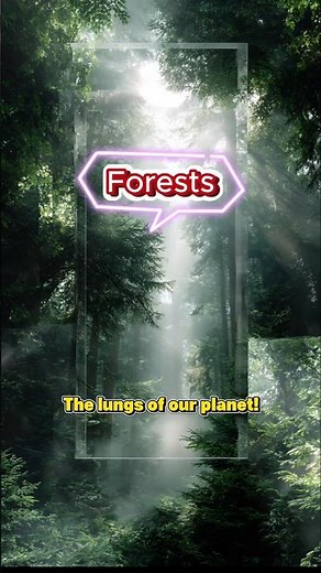 Forests QUIZ – Do You Know Earth’s Lungs? 🌳🌍 #quiz #shorts #forest