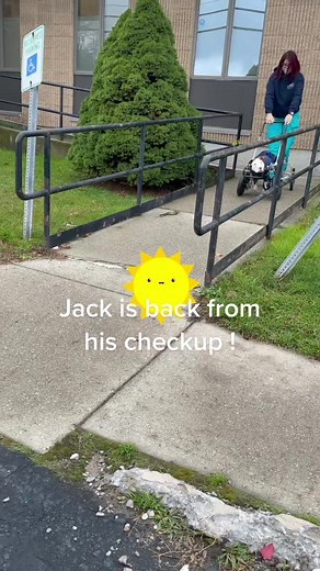Jack is back from his checkup! #rescuedog #rescuedogsoftiktok #dogsinwheelchairs