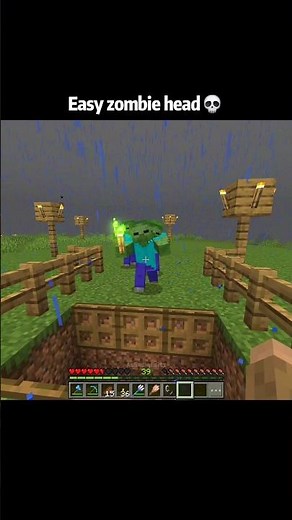 Minecraft easiest zombie head moments