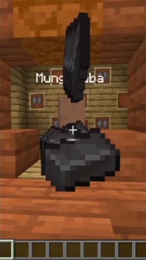 Minecraft but I have jetpack😍😂