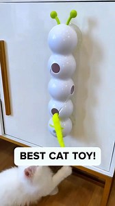 1.8K reactions · 262 shares |  Keep Them Busy, Happy, and Moving!  Smart Motion Cat Toy with Worm  Boosts Daily Activity  Easy Wall Mount Save with the current discount and turn your wall into a thrilling playground for your curious cat! | Happy-Poppy | Facebook