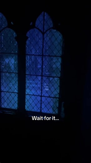 😍 #fantasy #fakewindow #projector #fyp #rain