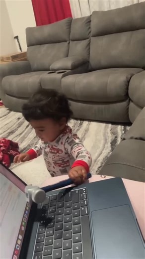 𝙺𝙴𝙻𝙻𝚈 𓂀 | In the span of 60 seconds one tried to break his neck, & the other one tried to smash my laptop! This laptop is 2/0 with these boys! Kam... | Instagram