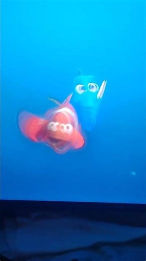 Finding Nemo: Crush Age a 150 years Old