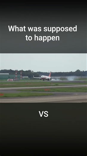 Jeju Air flight 2216 what was supposed to happen (1 year ago) #aviation #crash #korea #737