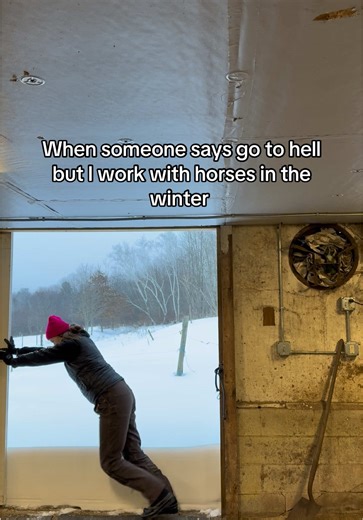 😭😭 #horsesoftiktok #horsetok #horses #belgiandrafthorse | horses