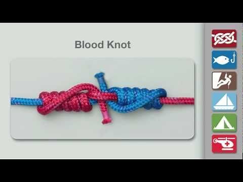 How to Tie a Blood Knot | Fishing Knots