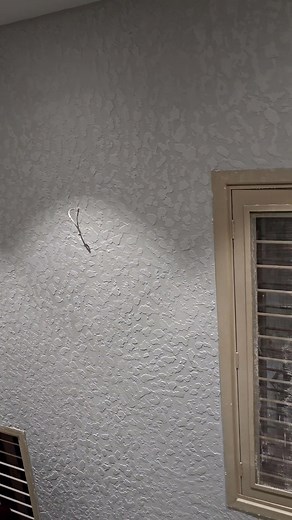 12K views · 152 reactions | Concrite texture design ,in home decor #texturework #highlight #texture #video #design #trending #homedecor #rastic #painting #fblifestyle | Kapil Dev Bhartiya | Facebook