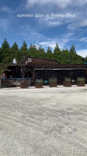 Still Open 7 Days a Week— Dollar Days during the weekdays & Happy Hour everyday 3-5pm with 1/2 price anything shrimp and all adult beverages😳😳🤯🤯🦐🍤🦐🍤🦐🍤 | Shrimp Boat