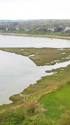 8.4K views · 96 reactions | One of our favorite spring hikes on the Cape!  Where is yours? . . #capecod #spring #hikes #hiking #lupine #lupines #springblooms #capecodnationalseashore #visitcapecod #letsgothere #visitma | Visit Cape Cod | Facebook