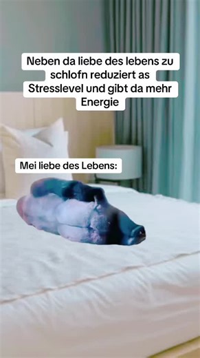 Discovering the Humor in Austrian Dialects