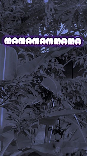 UTAMU WA YESU WEEEEH@Rose Muhando #VINCENTJUMA #gospellyrics