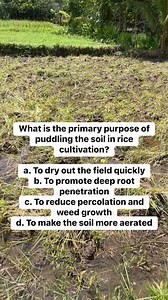 2025 LEA Review! | AgriTalks Review Center