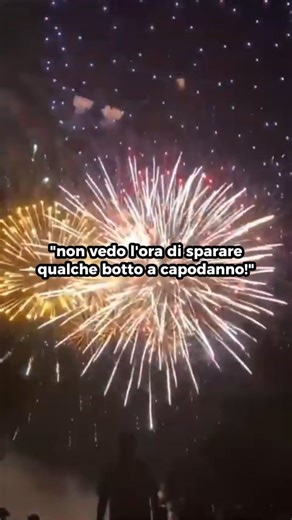 Gabriele Genovese | Secondo WWF Italia e altre campagne ambientaliste, si stima che ogni anno in Italia circa 5.000 animali muoiano a causa dei botti di... | Instagram