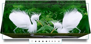 Hi Slider – New JQuery Banner Maker Comes with Striking Functions
