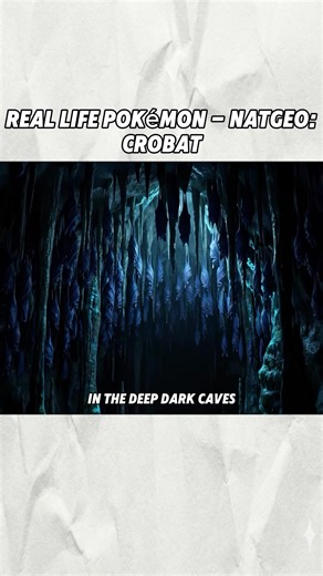 #reallifepokemon #pokemon #crobat