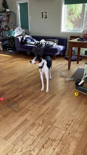 The microwave beeps awaken a monater that is hard to suppress