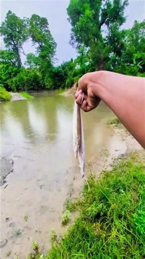 "A small act, but an entire world for two lives. Today, I set the two fish free. 🌊"