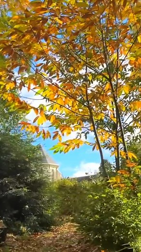 There’s nothing lovelier than wandering through the gardens with Galahad as the leaves turn to gold and crimson. 🍁 The sun on the chapel, the crunch underfoot, and the promise of planting the last touches around the fountain — pure autumn magic at the château. 🏰✨ | Chateau de Lalande