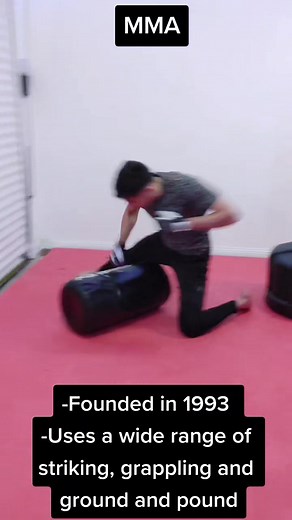 MMA vs Sambo: The Ultimate Showdown