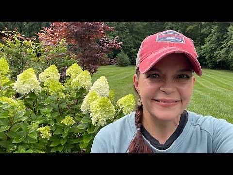 Hydrangea Garden Tour | Gardening with Creekside