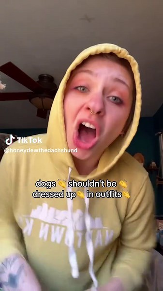 Honeydew the Dachshund on TikTok