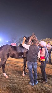 Indian Horse Championship Moga 2025 #indian_horse_championship2025 #moga | Mann Horse Photography