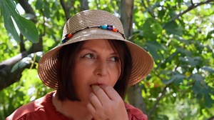 Traditional fig pie prepared with village-harvested figs
