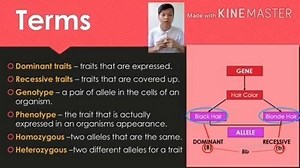 #TeachTogether entry #10: Biology – Law of Dominance with Teacher Jhem of Escuela de Sophia of Caloocan, Inc. Wondered why some people have told you that you look exactly like your mom or your dad? Sometimes, they even point out specific physical features of yours that they find very similar to your parents. Inheritance of traits has always been a fascinating topic for everybody, and it's also being studied by thousands of scientists! 🧬 Today, let's talk about genetics and know the concept behi