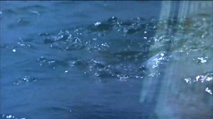 17K views · 605 reactions | Remembering Percy Rodriguez who passed away on this day in 2007. Percy was the voice of the JAWS movie and 'The Shark Is Still Working' documentary trailers. | The Daily Jaws | Facebook