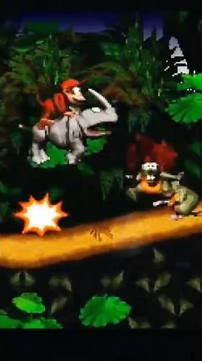 Donkey Kong country