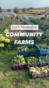 Before we bought this land that would eventually become One Tree Farm, we had a spell renting on a regenerative beef farm, and it was here that we truly realised the importance of community. Trying to create self-sufficiency while renting on that farm was a real wake up call. Not only is becoming self-sufficient a huge amount of work—practically impossible for a single family—there’s also a vast knowledge and skill gap to overcome. We’re so disconnected from what it means to provide for ourselve