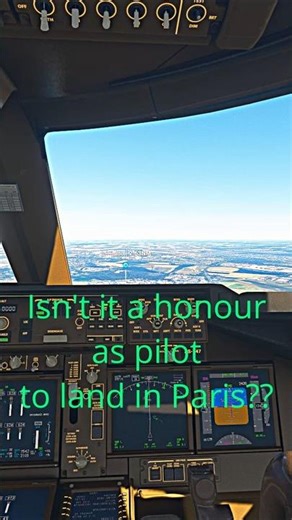 Isn't it a honor to land flight at Paris as pilot?? #aviation #flightsim