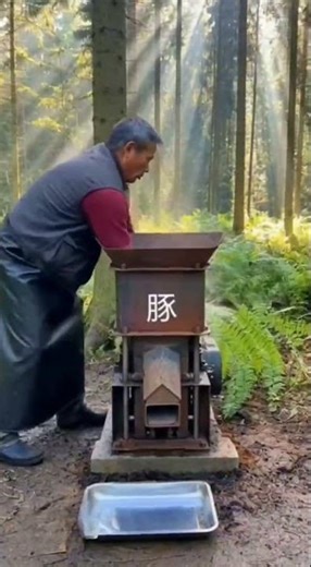 Code of the Womb: Programming Animal Life Cycles with AI