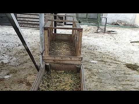 Goat farming on the Roof 01.01.26