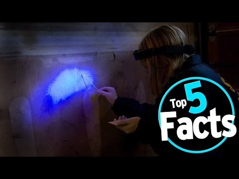 Top 5 Amazing Facts About DNA Evidence