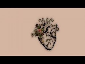 Trent musiqalar 2025 2026