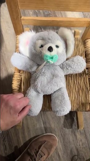 Kip the Koala Little Live Pets Cozy Dozy