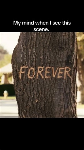 #gasandgit #brucealmighty #hamilton #teamgasandgit #2026