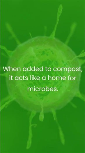 Your Compost Is Missing THIS