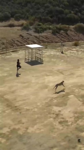 W speed but cheetah didn’t even run | try 💀 #thevillagebeast | cheetah