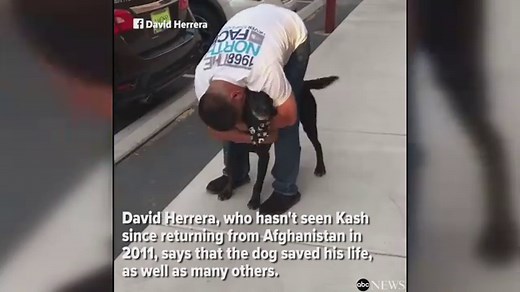 IED detection dog, Marine Corps handler reunite