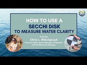 How to Use a Secchi Disk to Measure Water Clarity