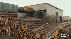 First Nations in New Brunswick sign memorandum of understanding with forestry company