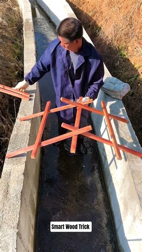 Smart Wood Trick Process " #usa #tricks