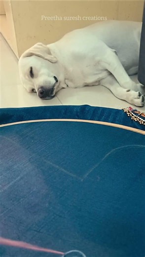 🤣🤣My Hobby vs My Simba🐶 Hobby 😂