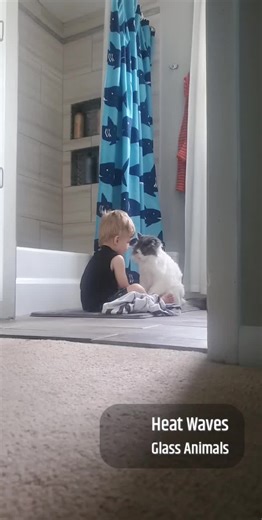 #fyp #fypppppppppp #fypシツ #kids #love #pets #cat #kitty #news #spendingtime #kind #care #toddler #life #today #sweet #baby #cuddle #adorable #omg #wow