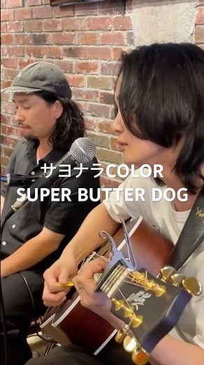 サヨナラCOLOR - SUPER BUTTER DOG #弾き語り #ライブ #SUPERBUTTER DOG #ハナレグミ #maton # #guatpal #shorts